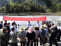 万宝路(冰爆越南版)价格表图一览表 万宝路(冰爆越南版)多少钱一包？