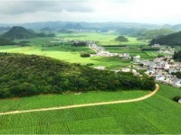百乐(榴莲)批发价格是多少？百乐(榴莲)多少钱一盒？