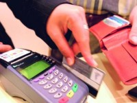 椰王(硬金)批发价格是多少？椰王(硬金)价格查询
