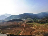 哈德门(1923壹号)价格查询 哈德门(1923壹号)什么价格？
