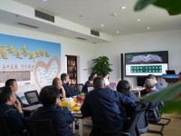 狮牌(蓝调)价格表一览 狮牌(蓝调)价格查询