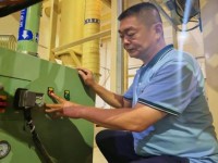 长城(风雅)价格查询 长城(风雅)多少钱一盒？
