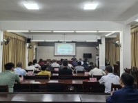 黄金叶(发时达出口)价格表和图片黄金叶(发时达出口)价格表一览