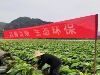 利群(神州)多少钱一包？利群(神州)价格表和图片