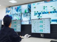娇子(时代阳光)多少钱一包2024？娇子(时代阳光)价格表和图片