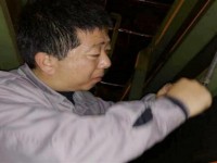 真龙(甲天下中支)价钱批发 真龙(甲天下中支)价格表一览