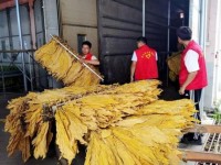 破天荒！如何从免税店多买烟“财运亨通”