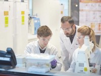 雾化电子烟：技术、市场与合规的三重博弈