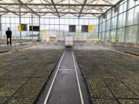 降本增效 “移动+简易”喷淋破解育苗难题