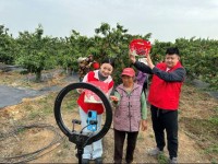 山东肥城市烟草：融合赋能焕新机 乡村小店绽芳华